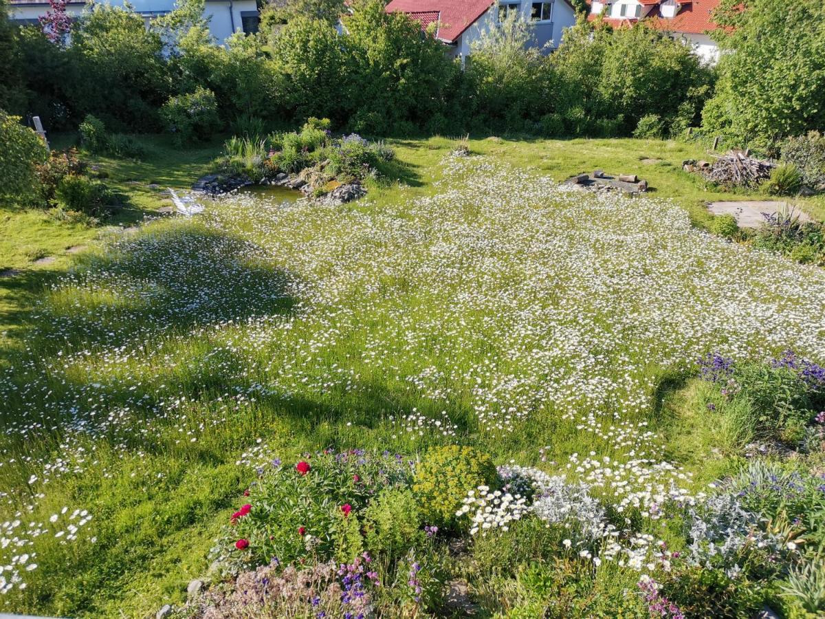 Moderne Ferienwohnung Gartenblick Amtzell Exterior foto